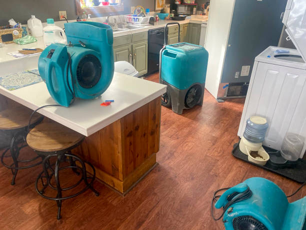 Best Water damage contractors near me  in Shamokin Dam, PA