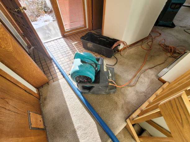 Best Mold removal after water damage  in Shamokin Dam, PA