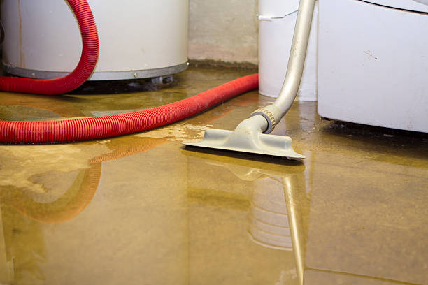 Best Professional water damage repair  in Shamokin Dam, PA