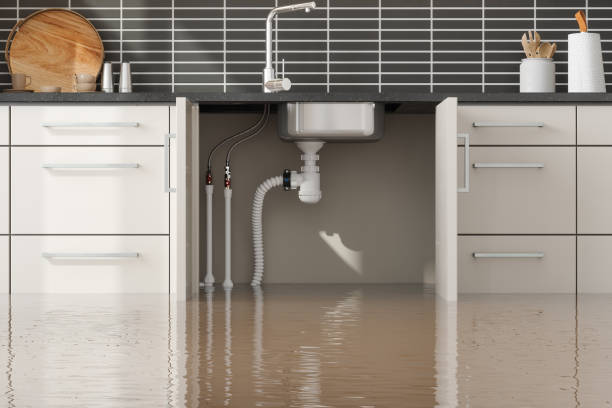 Best Water damage restoration process  in Shamokin Dam, PA