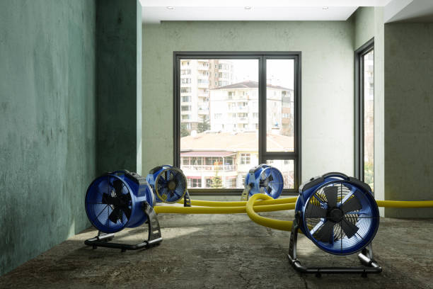 Best Flood restoration services  in Shamokin Dam, PA